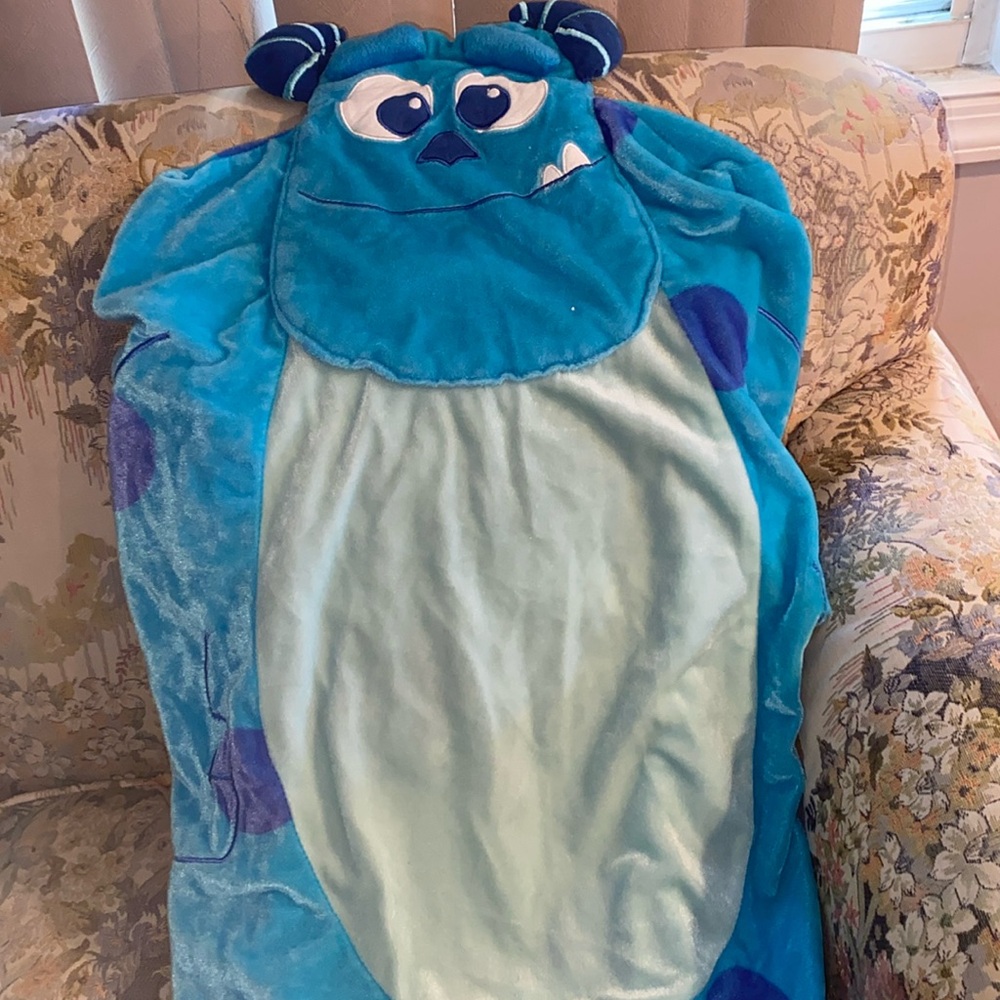 Sully changing
